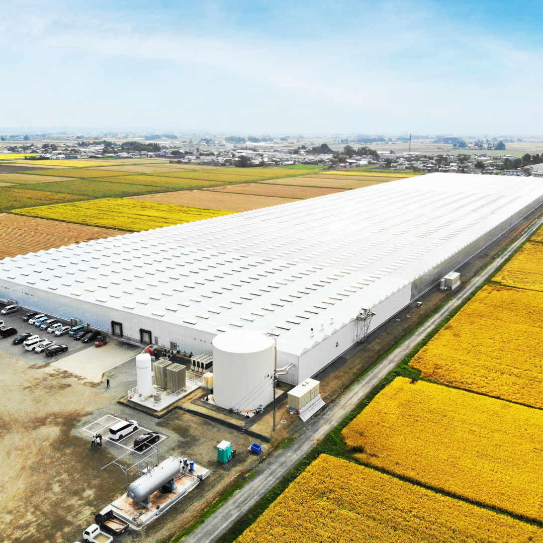 事業戦略 - 工場外観