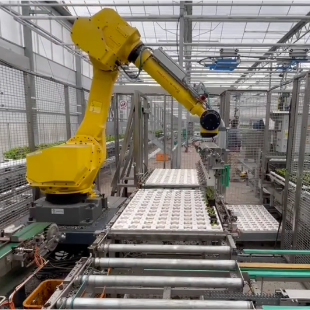 AI & DX - ロボットアーム