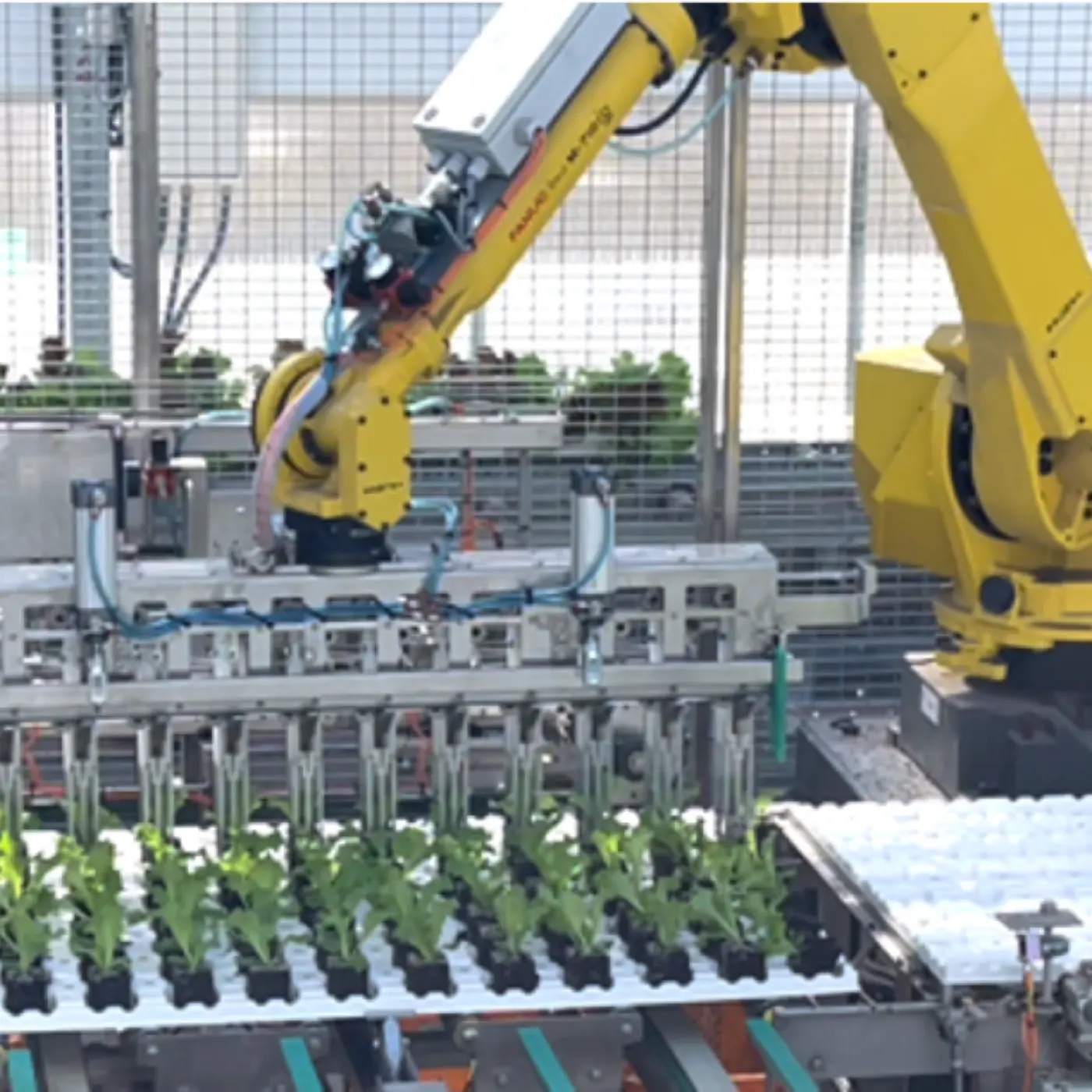 AI活用・90%自動化